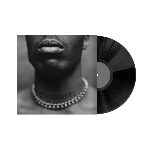 Exodus by DMX - LP - shop now at Stoked store